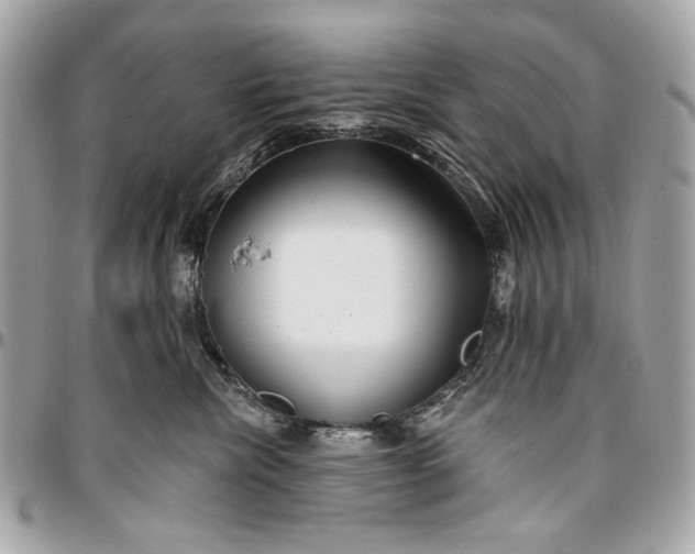 X0000096990476200802221502