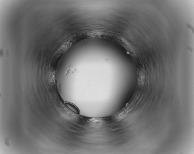 X0000096990477200802221502