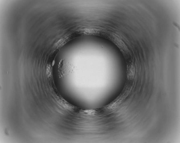 X0000096990478200802221502