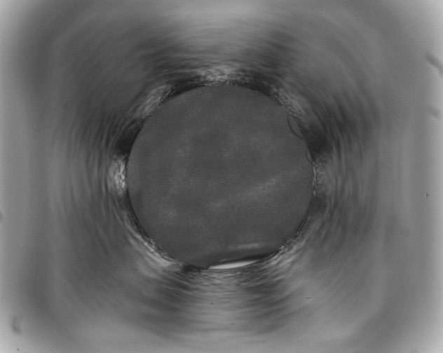 X0000096990479200802221502