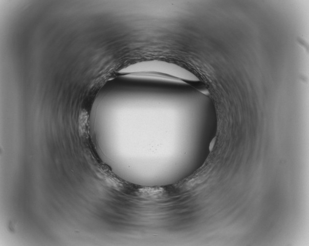 X0000096990480200802221502