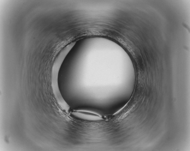 X0000096990481200802221501