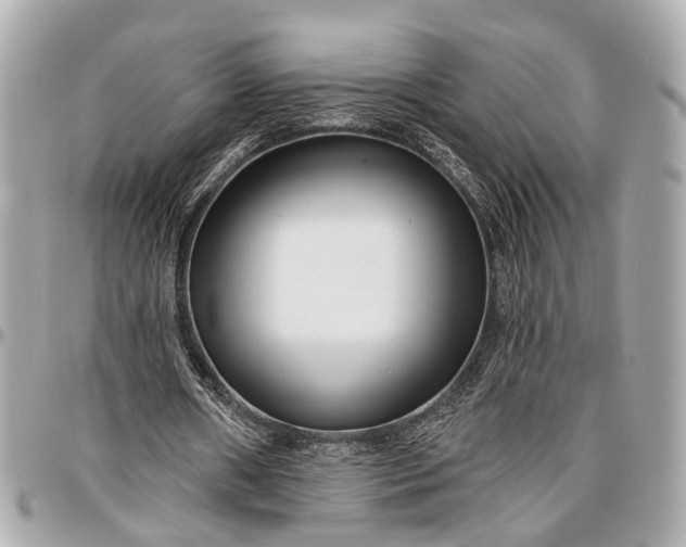 X0000096990482200802221501