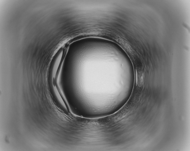 X0000096990483200802221501