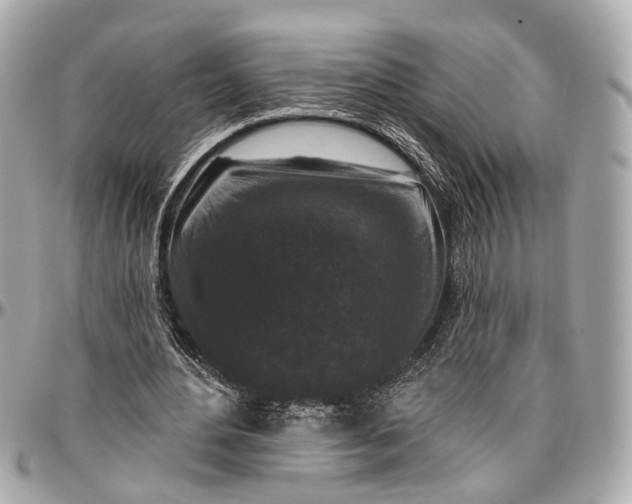 X0000096990484200802221501