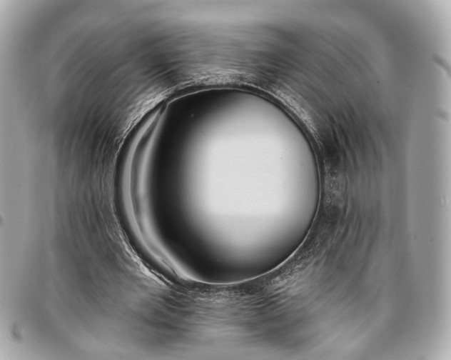 X0000096990485200802221501