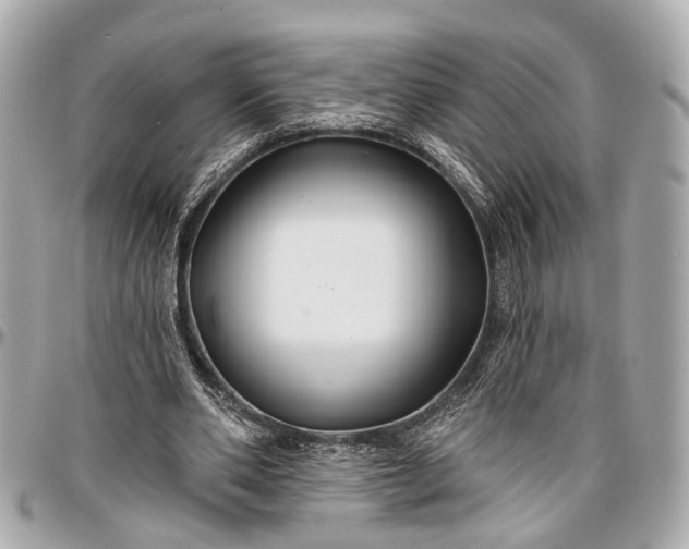 X0000096990486200802221501