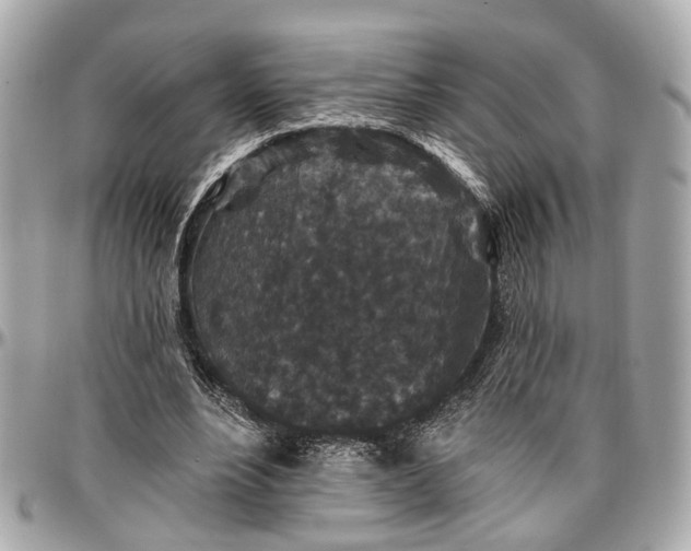 X0000096990488200802221501