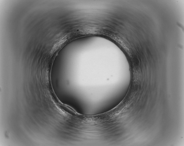 X0000096990489200802221501