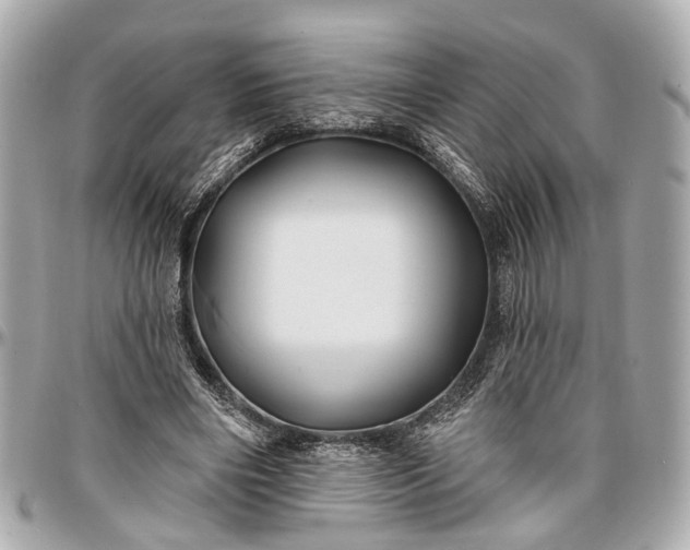 X0000096990490200802221501