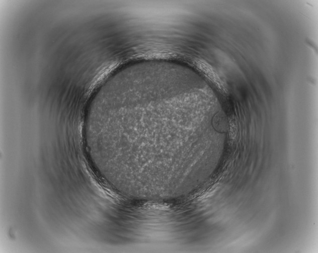 X0000096990491200802221501