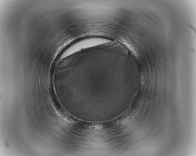 X0000096990492200802221501