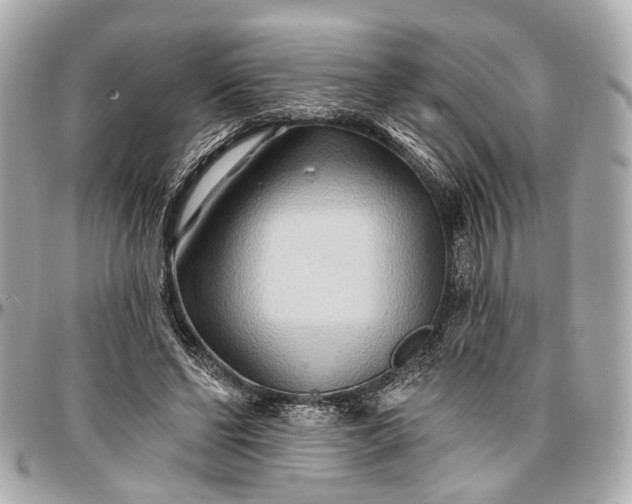 X0000096990494200802221501