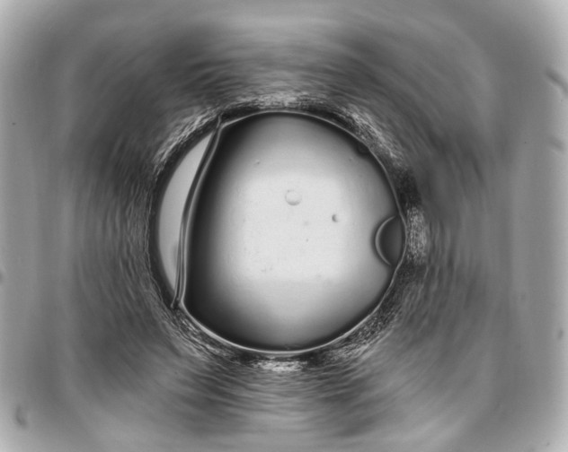 X0000096990495200802221501