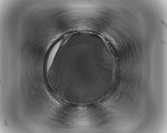 X0000096990496200802221501