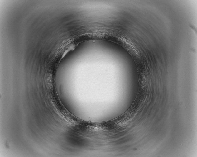 X0000096990498200802221501