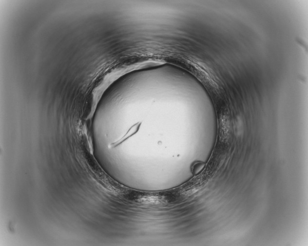 X0000096990499200802221501