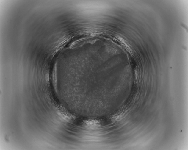 X0000096990500200802221501