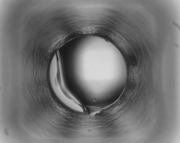 X0000096990501200802221501