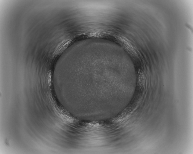 X0000096990502200802221501