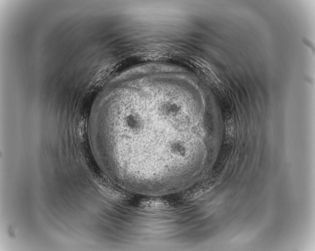 X0000096990503200802221501