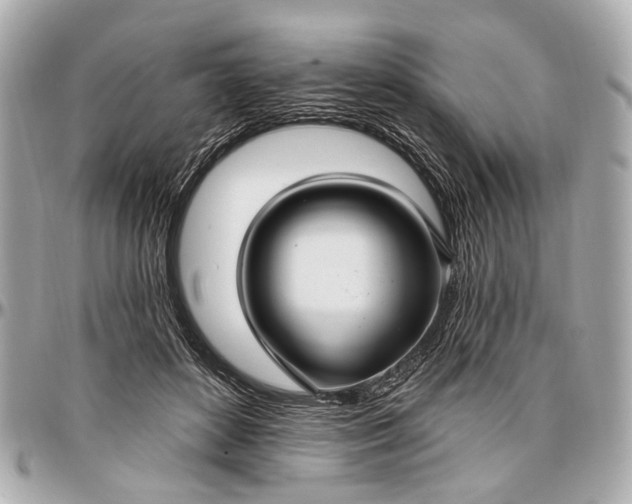 X0000096990504200802221501