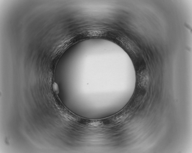 X0000096990505200802221501