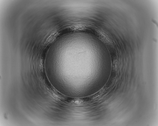 X0000096990506200802221501