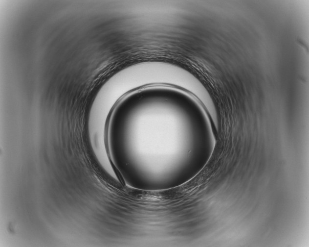 X0000096990507200802221501