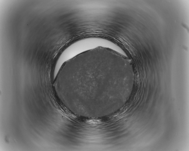 X0000096990508200802221501