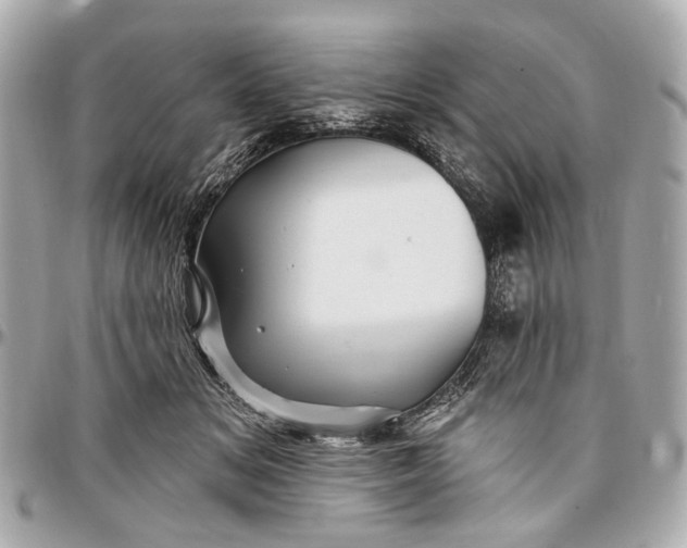 X0000096990509200802221501