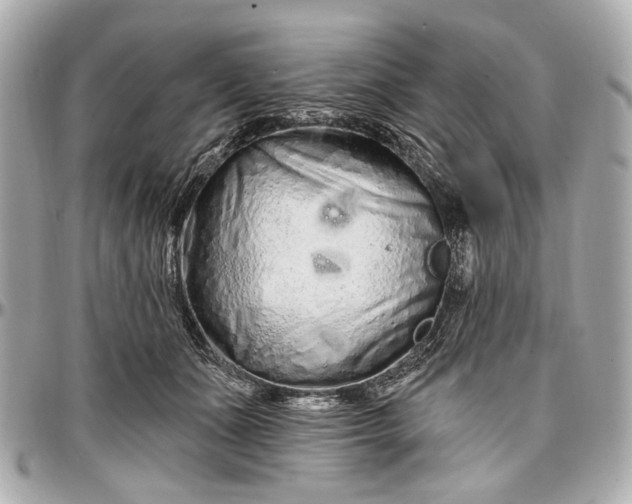 X0000096990511200802221501