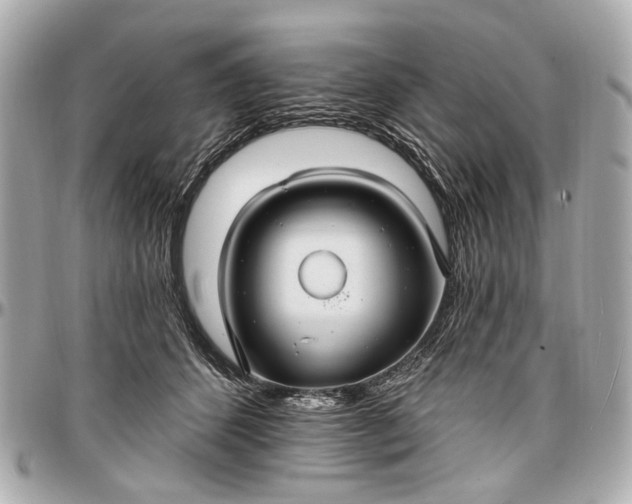 X0000096990512200802221500