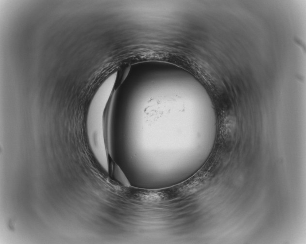 X0000096990513200802221500