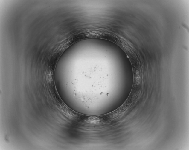 X0000096990514200802221500