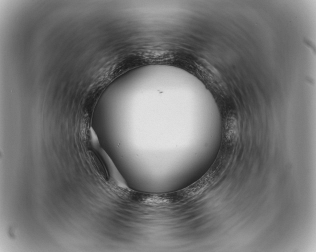 X0000096990515200802221500