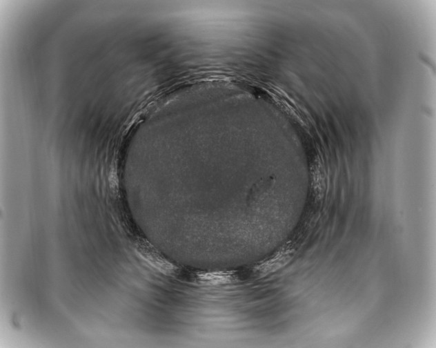 X0000096990516200802221500