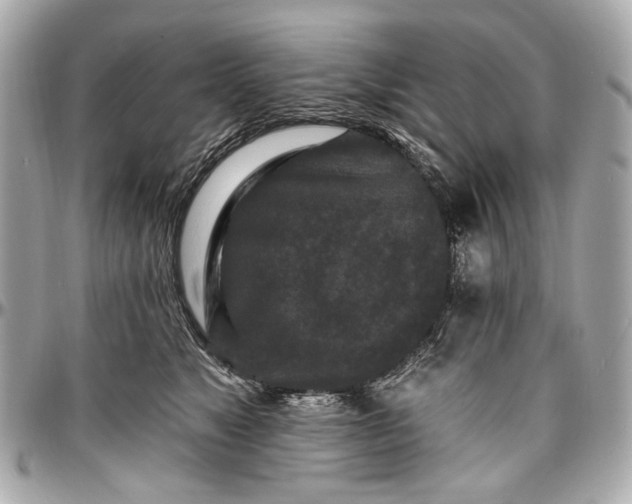 X0000096990517200802221500