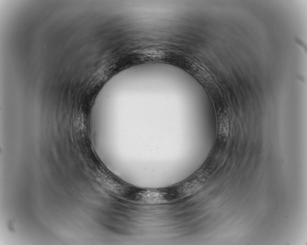 X0000096990518200802221500