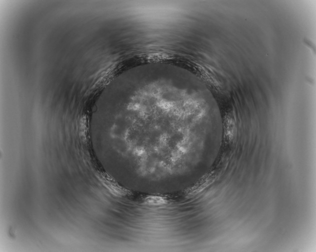 X0000096990519200802221500