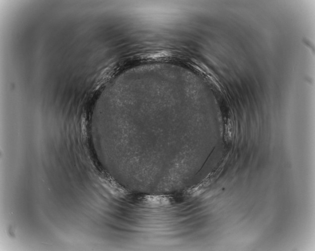 X0000096990520200802221500