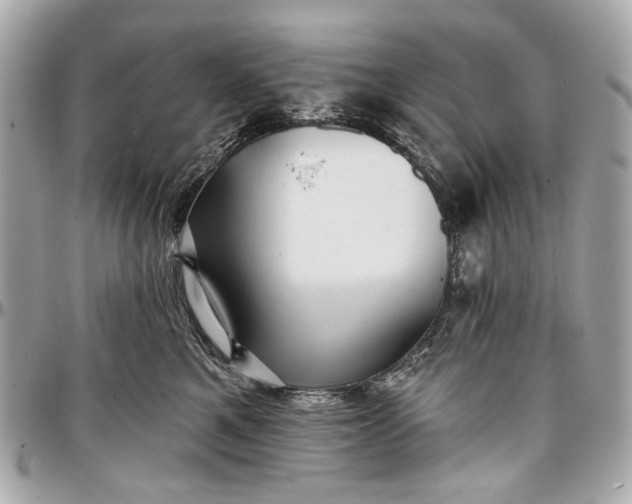 X0000096990521200802221500