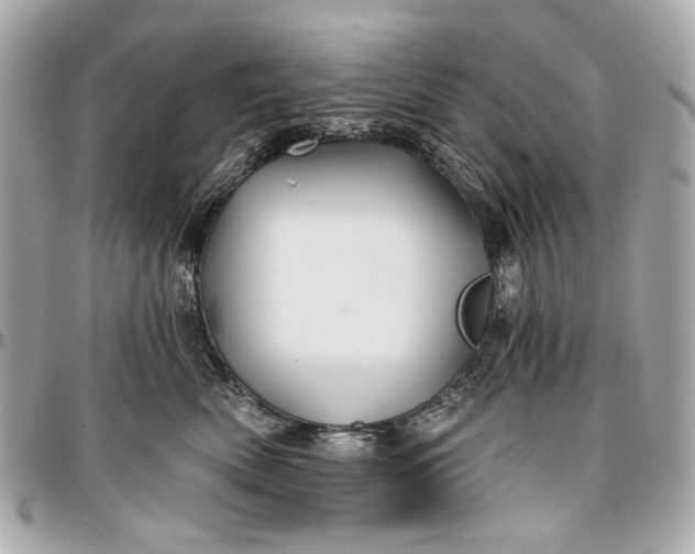 X0000096990522200802221500