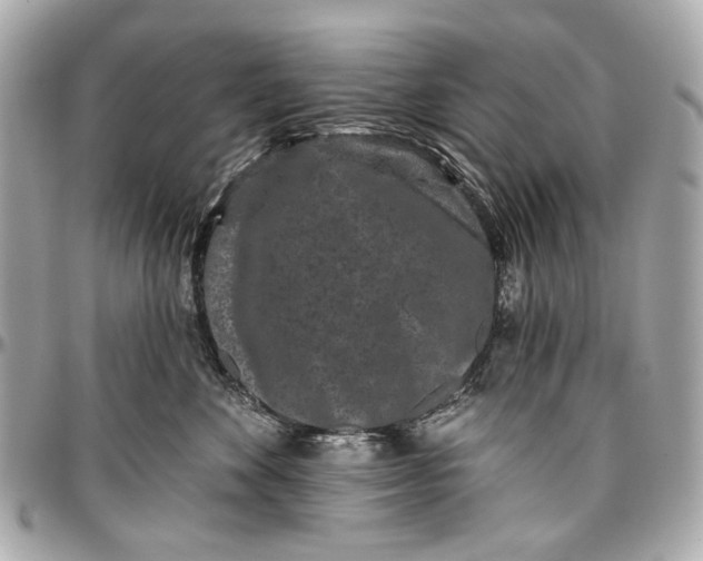 X0000096990524200802221500