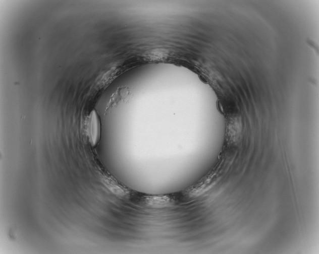 X0000096990525200802221500