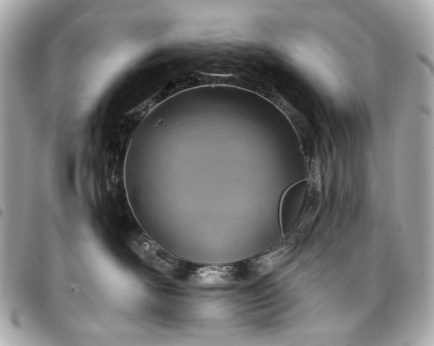 X0000096990526200802221500