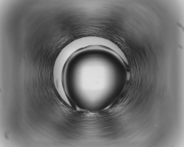 X0000096990527200802221500