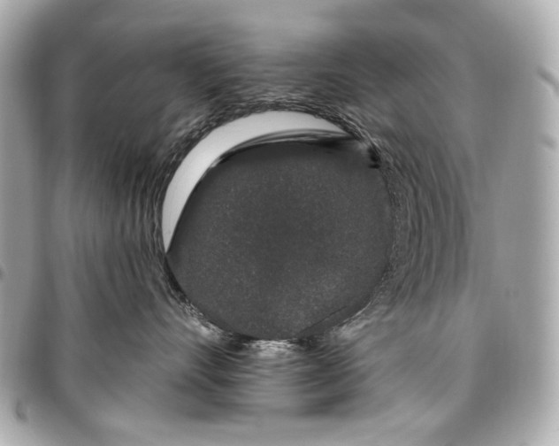 X0000096990528200802221500