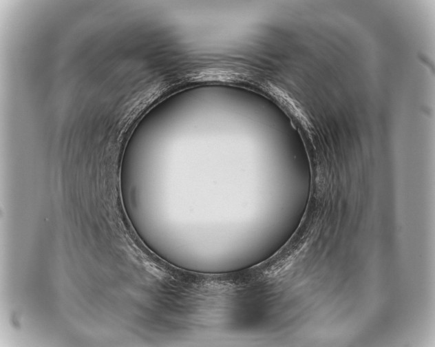 X0000096990529200802221500