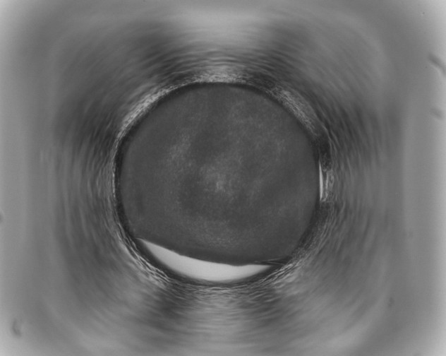 X0000096990531200802221500